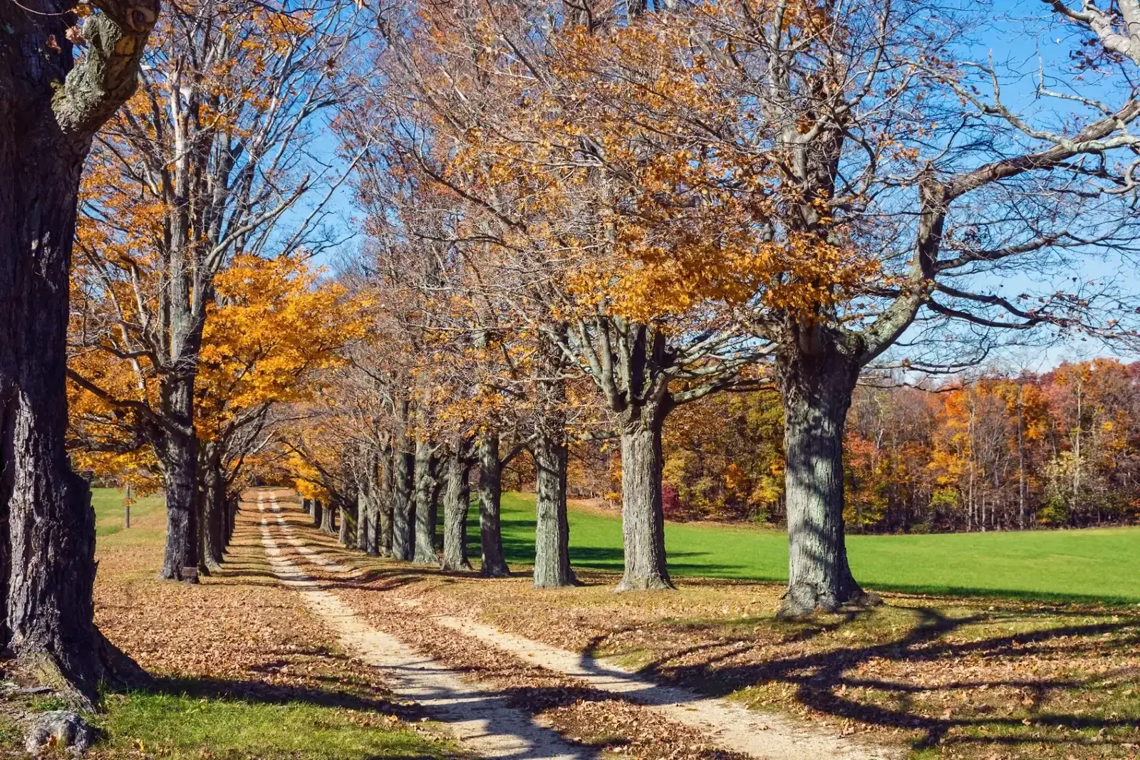 Central Jersey area neighborhoods served by That 1 Painter Central Jersey