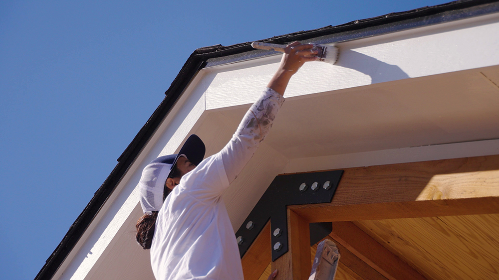 Trim, Fascia & Soffits