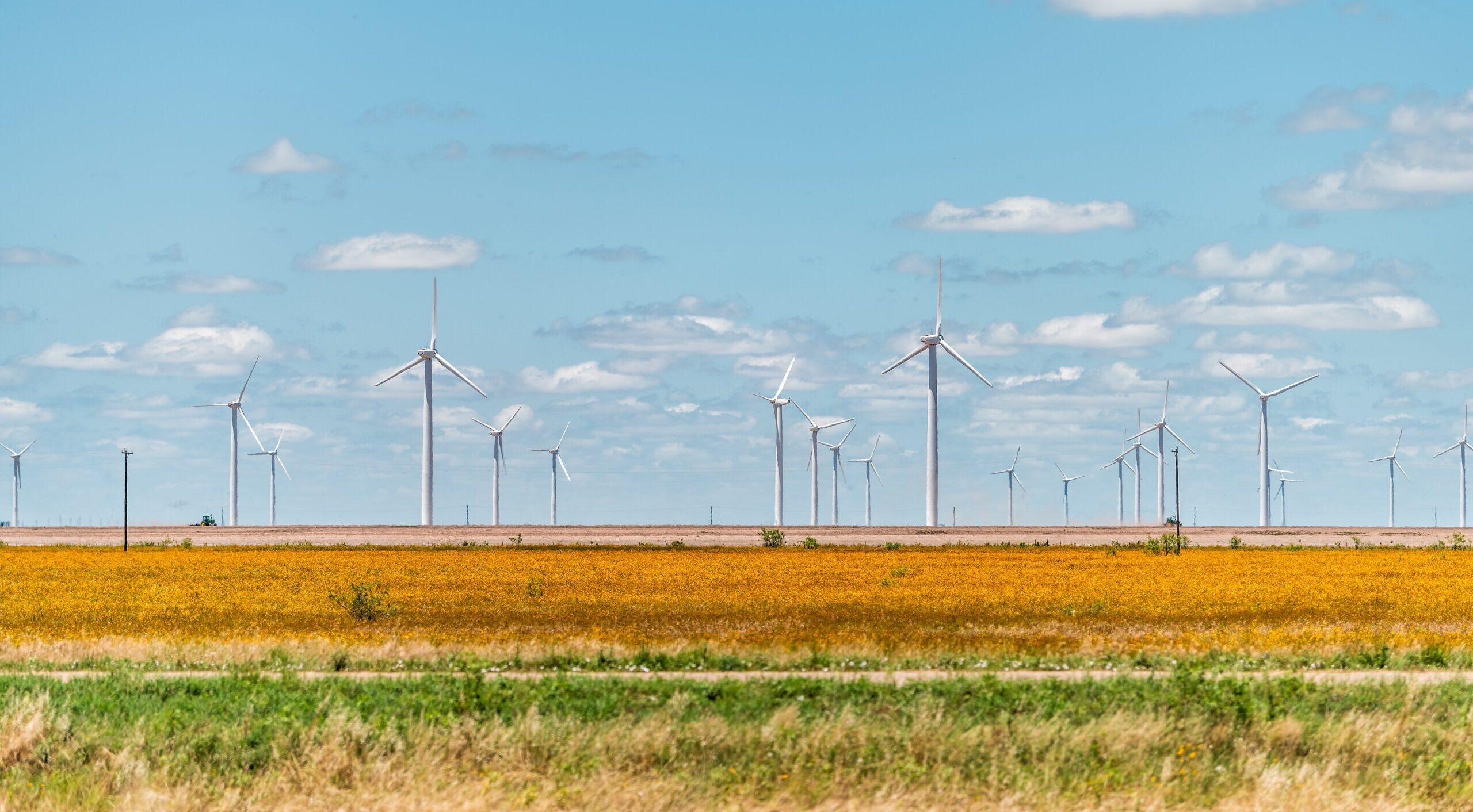 Painters in Sweetwater