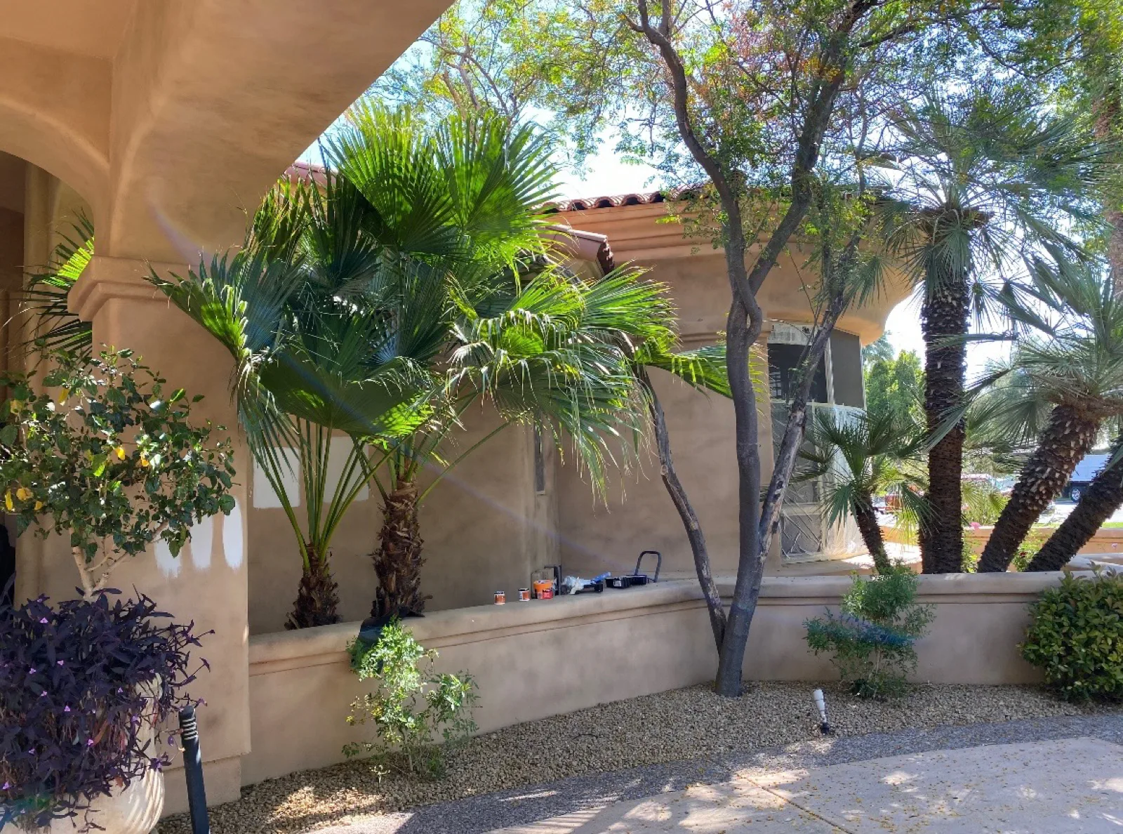 Desert estate front elevation in tan stucco before limewash, with fan palms and gravel landscaping applied by That 1 Painter Chandler-Gilbert