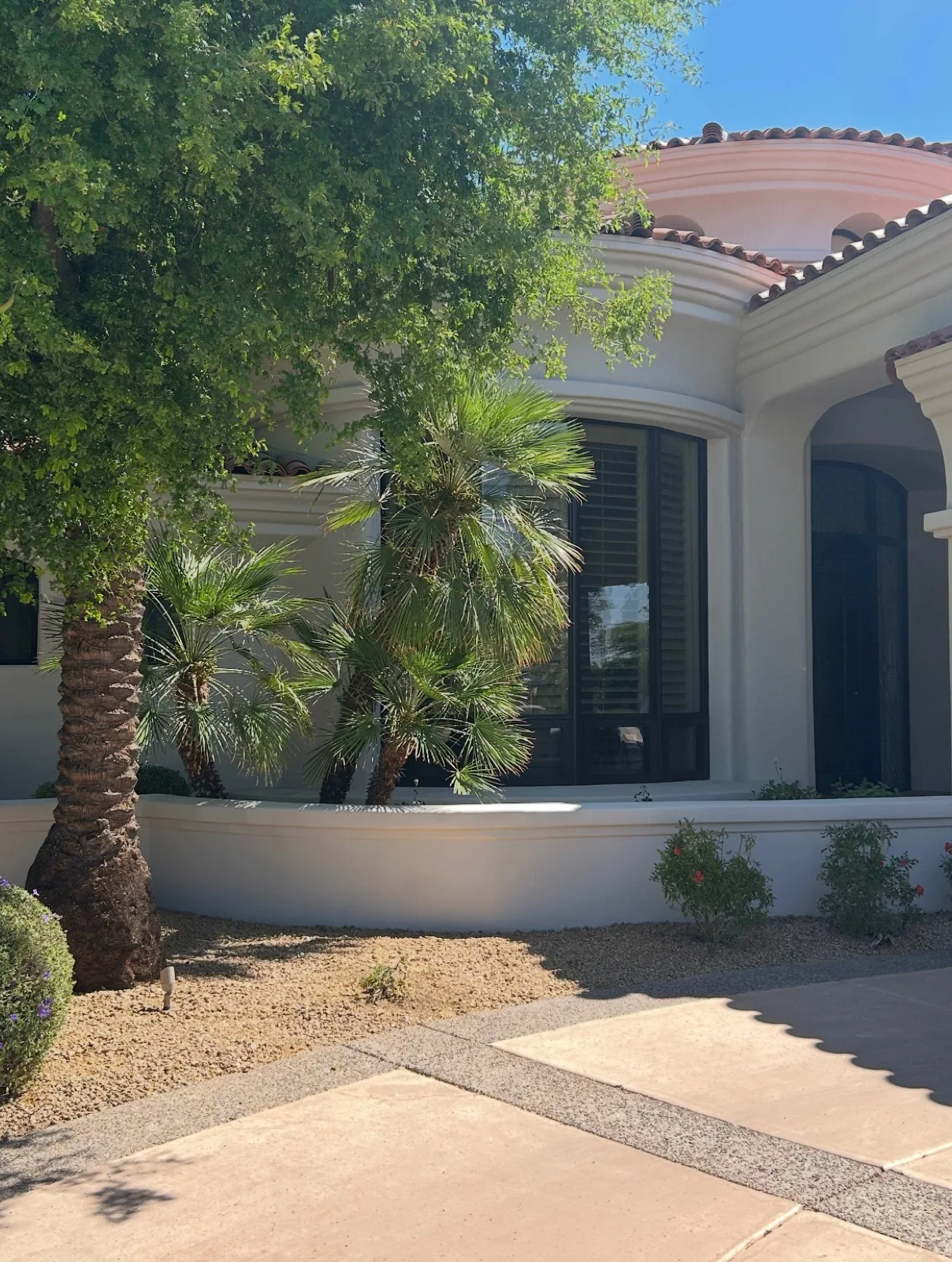 Limewashed stucco front elevation with fan palms, gravel desert landscaping and tile roof applied by That 1 Painter Chandler-Gilbert