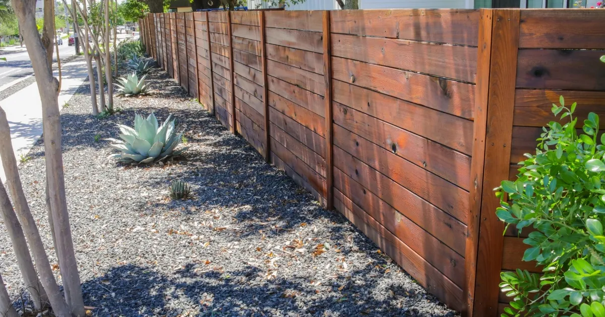 Long stained fence line in a Central Texas backyard
