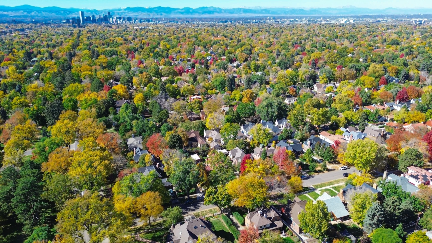 South Denver Front Range residential neighborhoods served by That 1 Painter