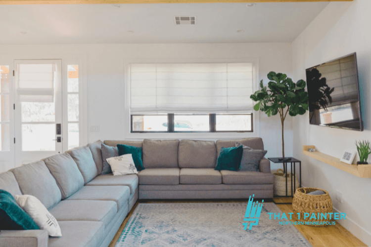 professional house painting service in Washington County MN