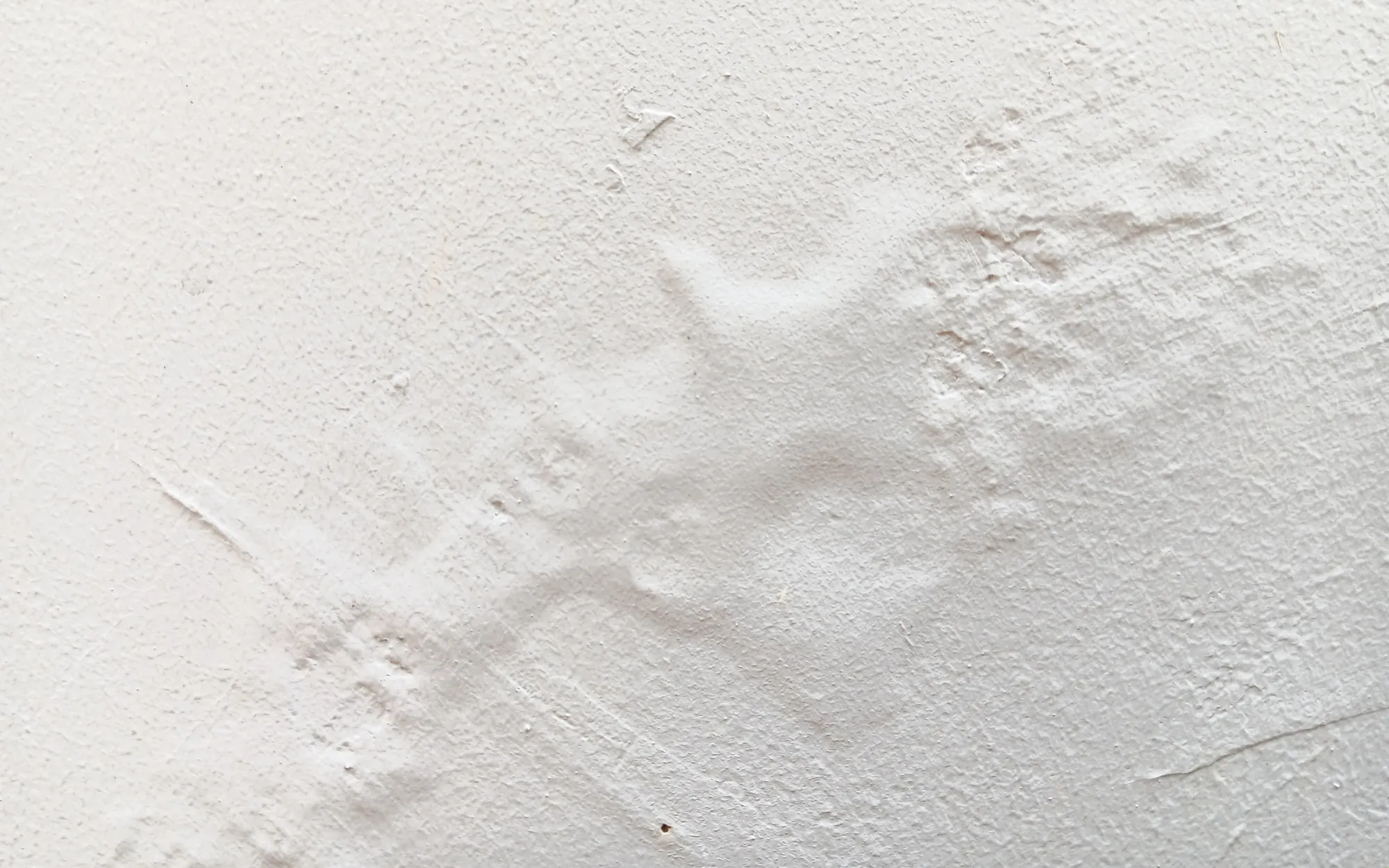 Repairing bubbling exterior paint in Cape Cod