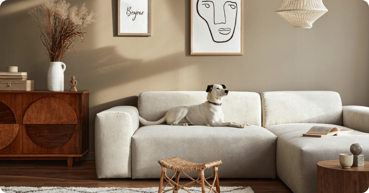 odor removal in austin-that 1 painter professionally removed bad odor from pet