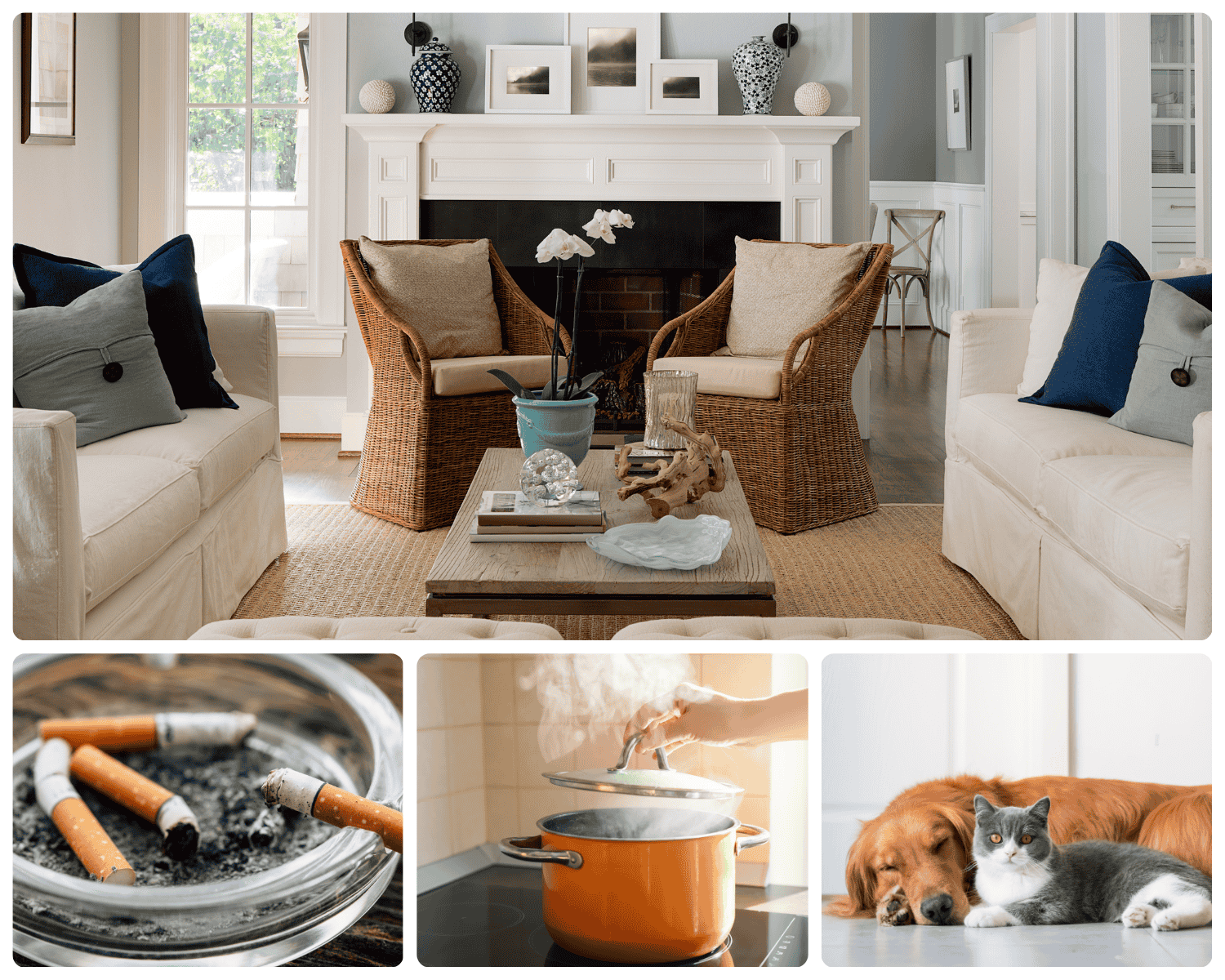 odor removal in austin-remove pet, smoke, and aroma strong odors with professionals from that 1 painter