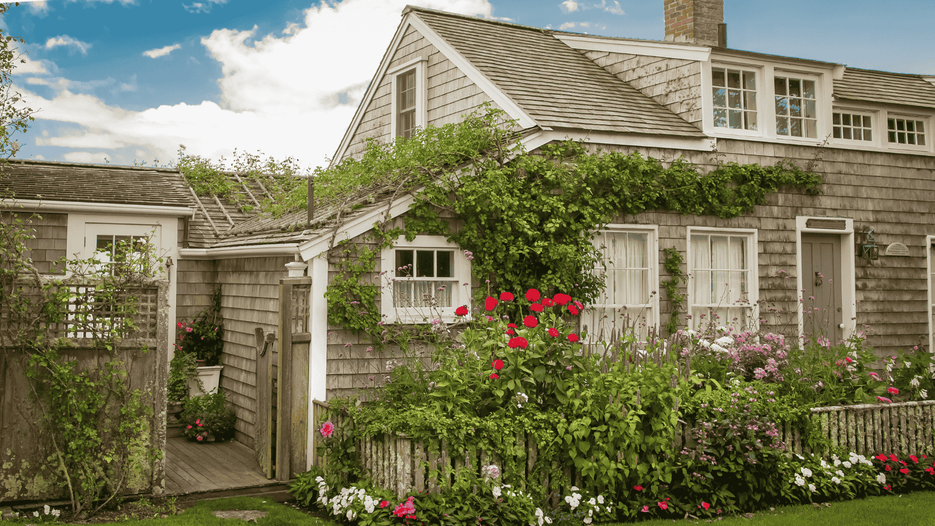 Preserving historic cape cod homes with vines and painted shutters