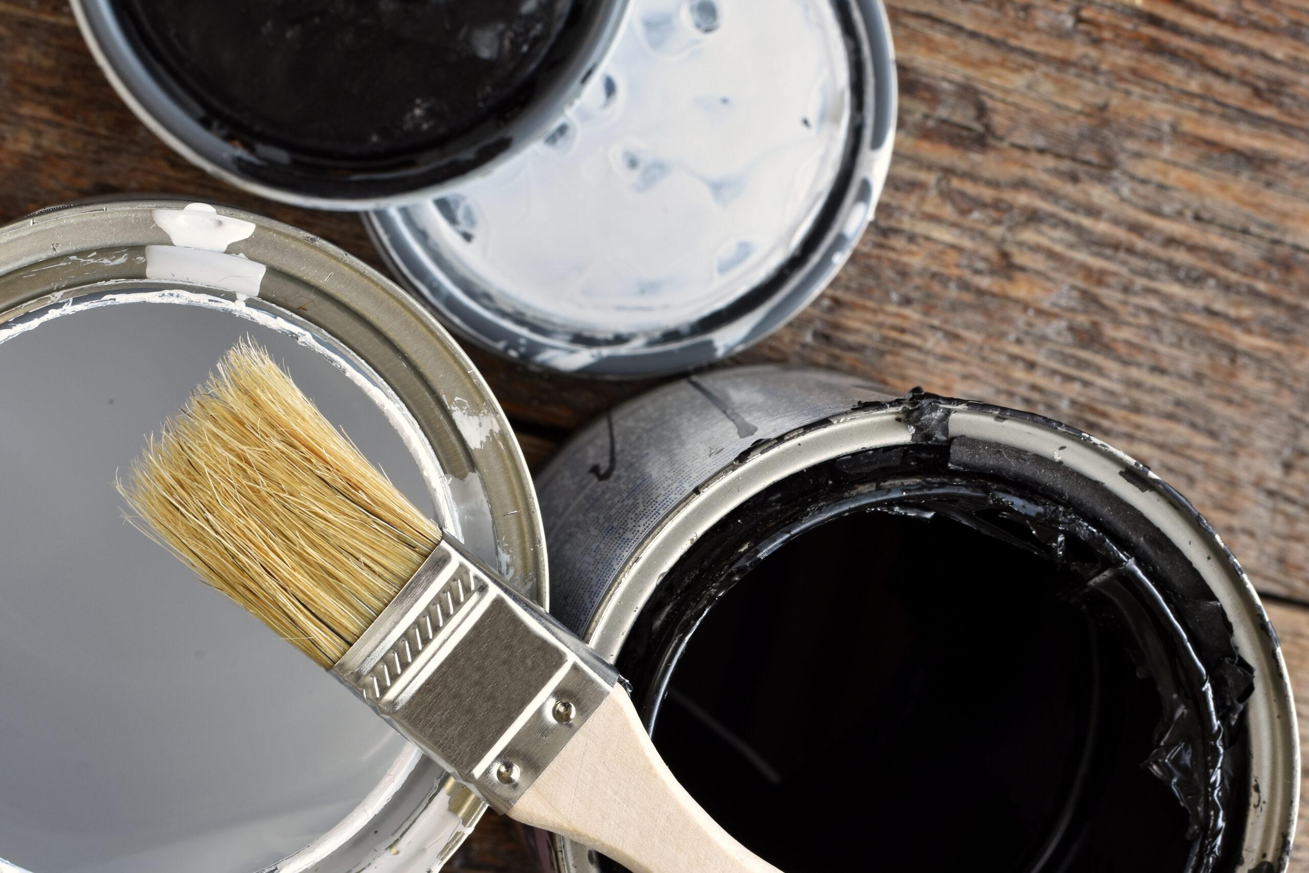 water based vs oil based paint_That 1 Painter Castle Rock