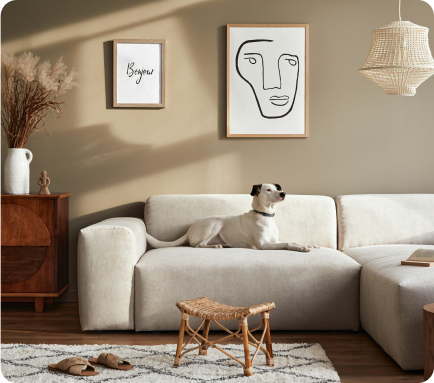 Transform Your Apartment