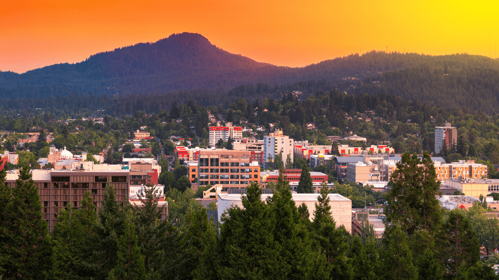 Painters in Eugene, OR_painters near me_professional painting company_interior painting_exterior painting_best painting company in Eugene