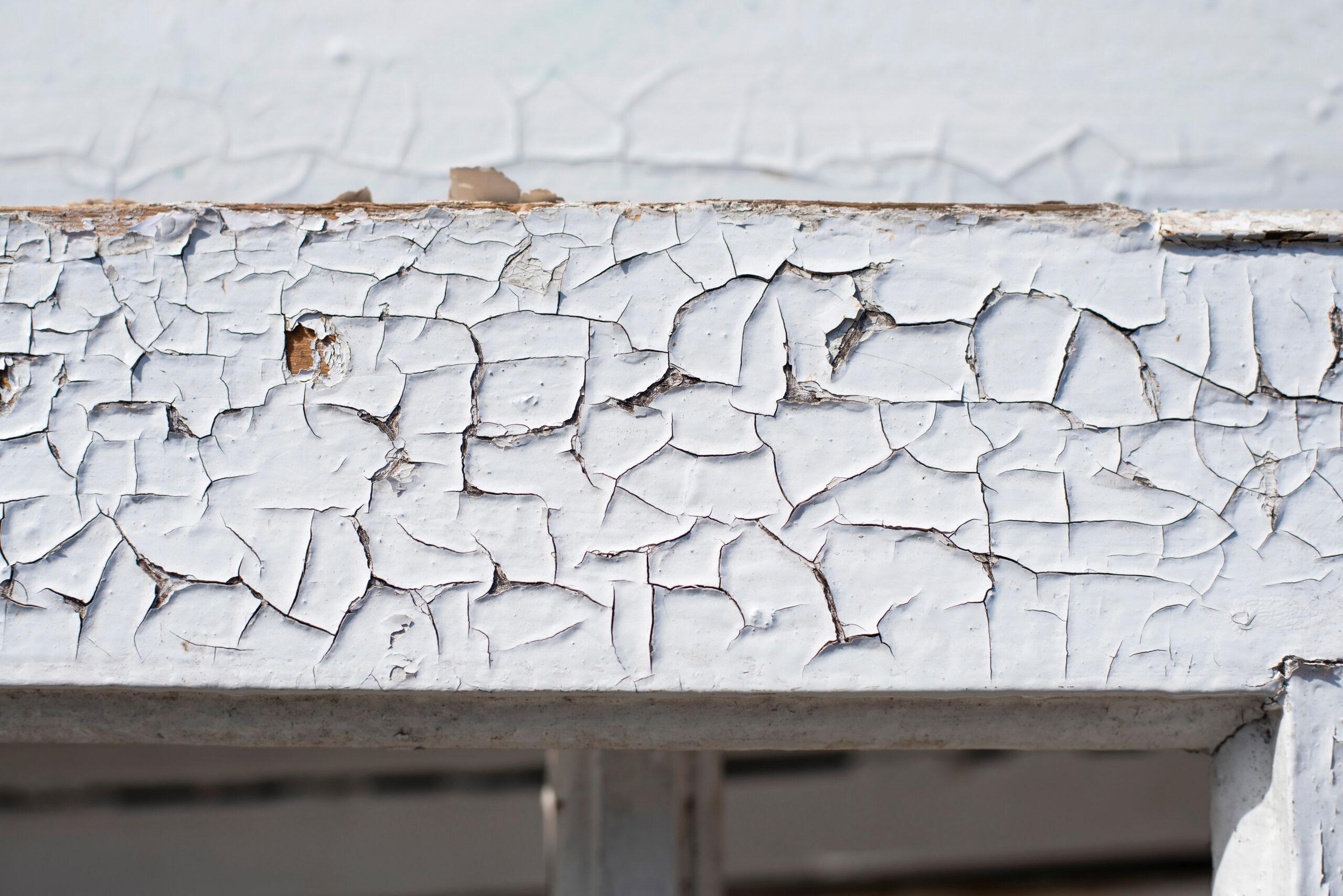 Choosing the Best Weather Resistant Paint for Wind, Rain, and Sun Exposure_That 1 Painter Fort Bend County