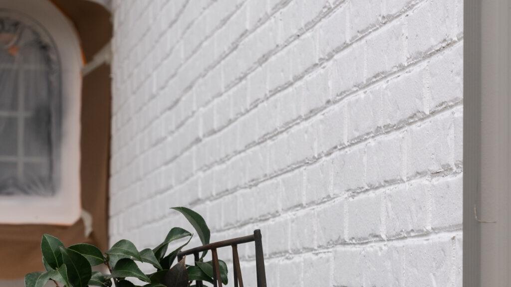 Whitewashing vs. Limewashing_That 1 Painter Gainesville