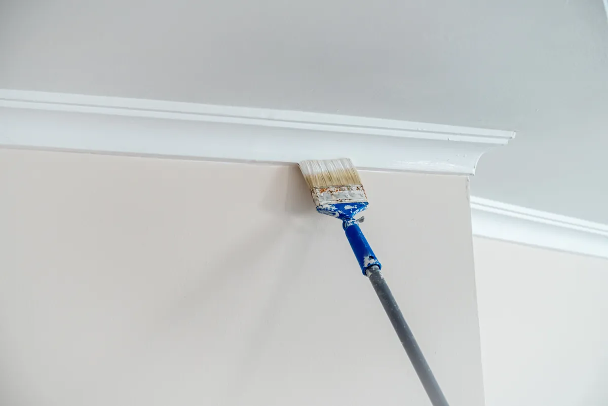 Brush on an extension pole cutting in white paint below crown molding