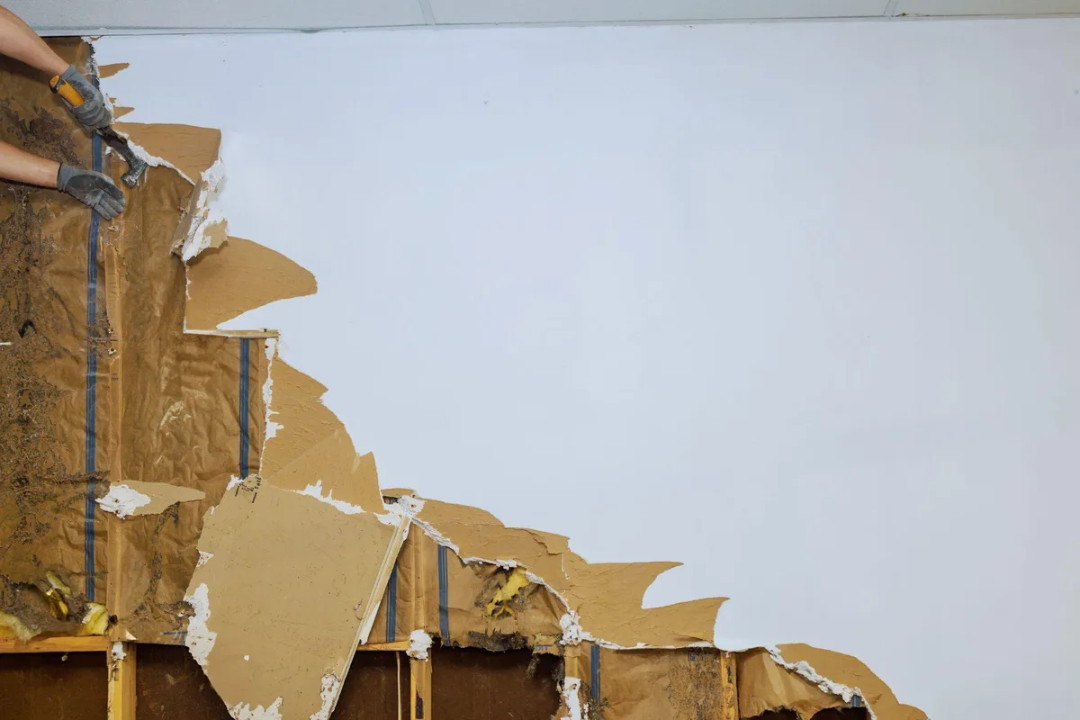 Water-damaged drywall torn away from the bottom of a wall, exposing studs and insulation