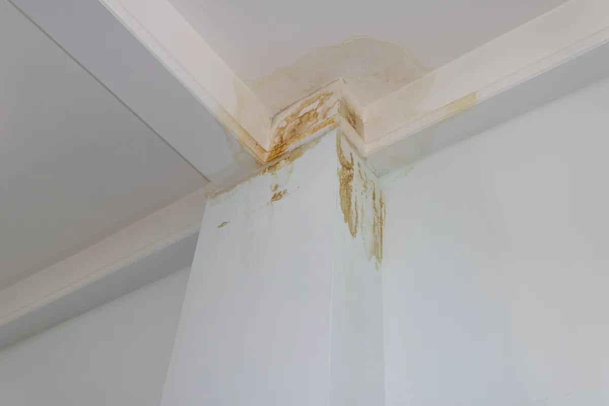 Brown water stain spreading down from a white ceiling corner