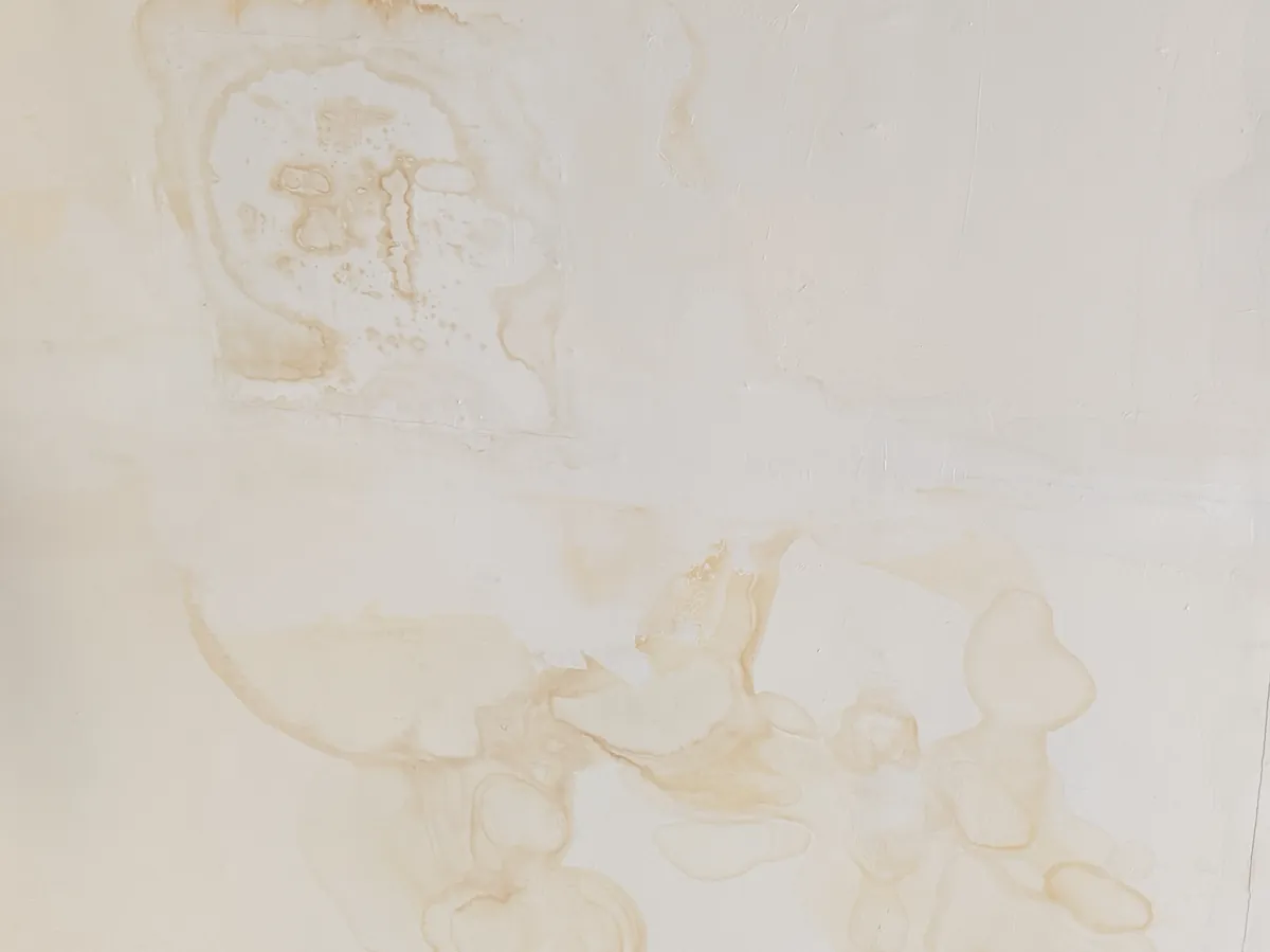 Yellow-brown water stains spreading across a light painted wall