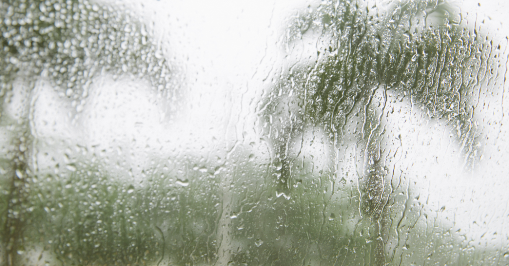 A rainy window with palm trees int he horizon of a residential home - That 1 Painter Naples.