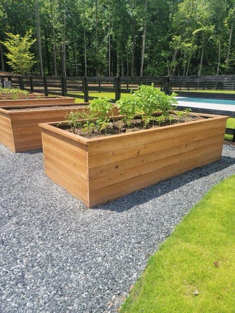 raised cedar planters with plants stained by professional painter