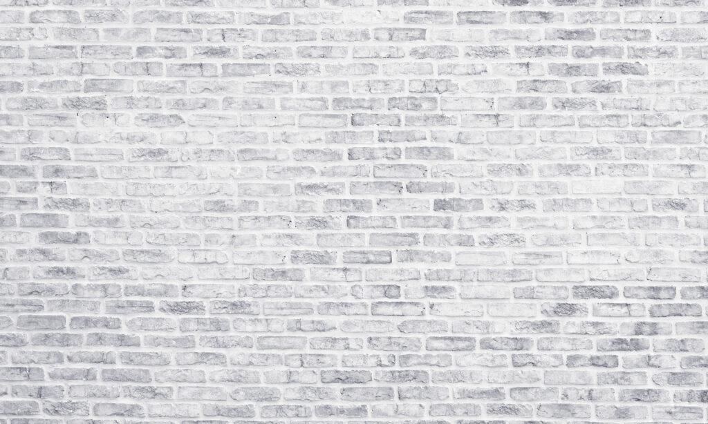 romabio limewash wall done by that 1 painter NW San Antonio chosen by homeowners for a high-end paint finish