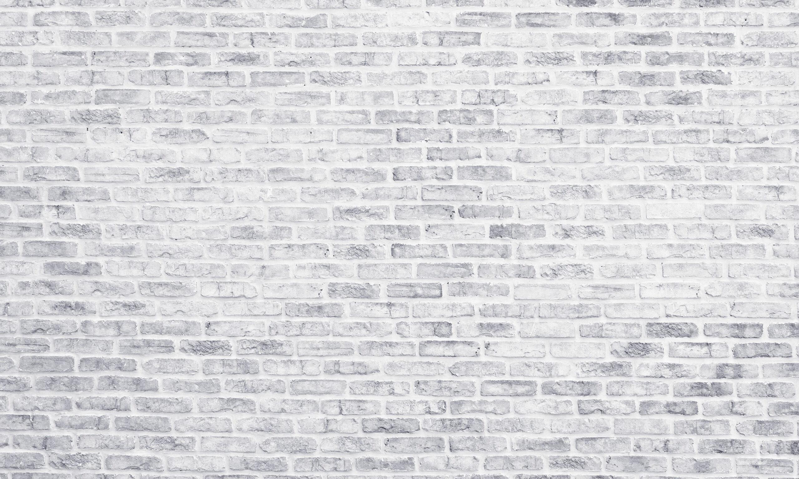 romabio limewash wall done by that 1 painter NW San Antonio chosen by homeowners for a high-end paint finish