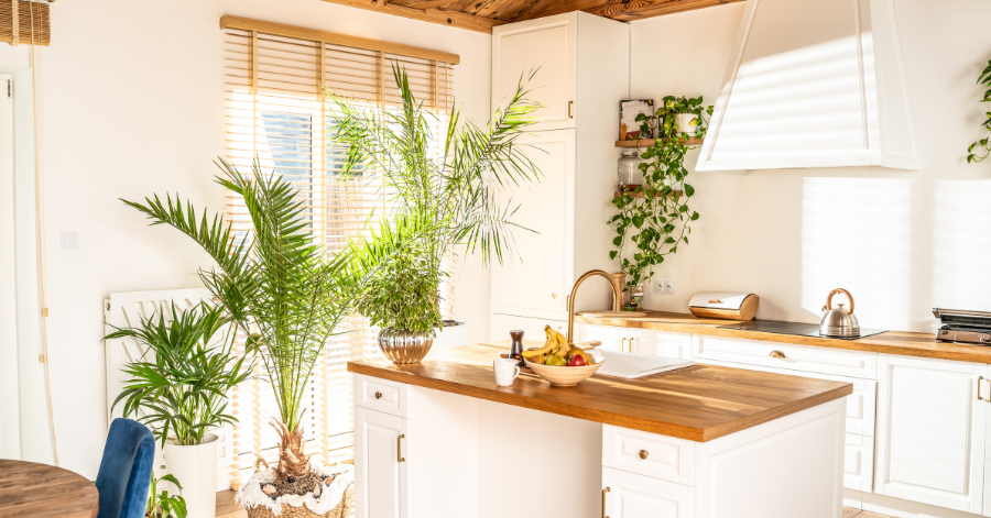 Popular Home Paint Colors in Palm Beach for 2025