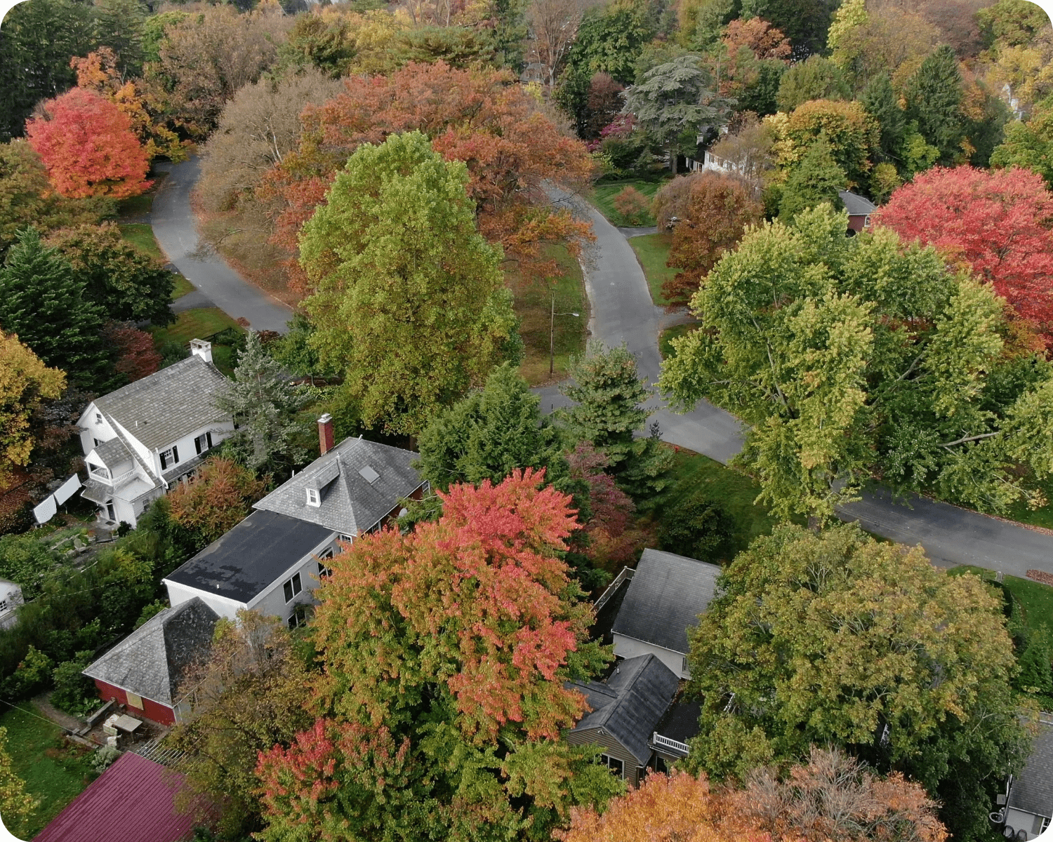 Exterior painting in Scranton of a wooded suburban neighborhood in autumn, featuring traditional homes with gabled roofs and mature, colorful tree canopies by that 1 painter.