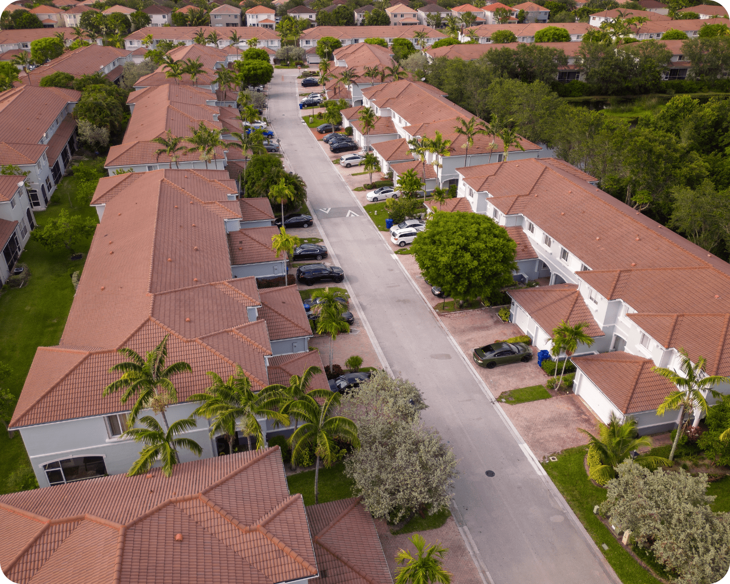 Exterior painting in South Denver of a tropical-style townhouse community with white stucco exteriors, terra-cotta tile roofing, and palm tree landscaping by that 1 painter