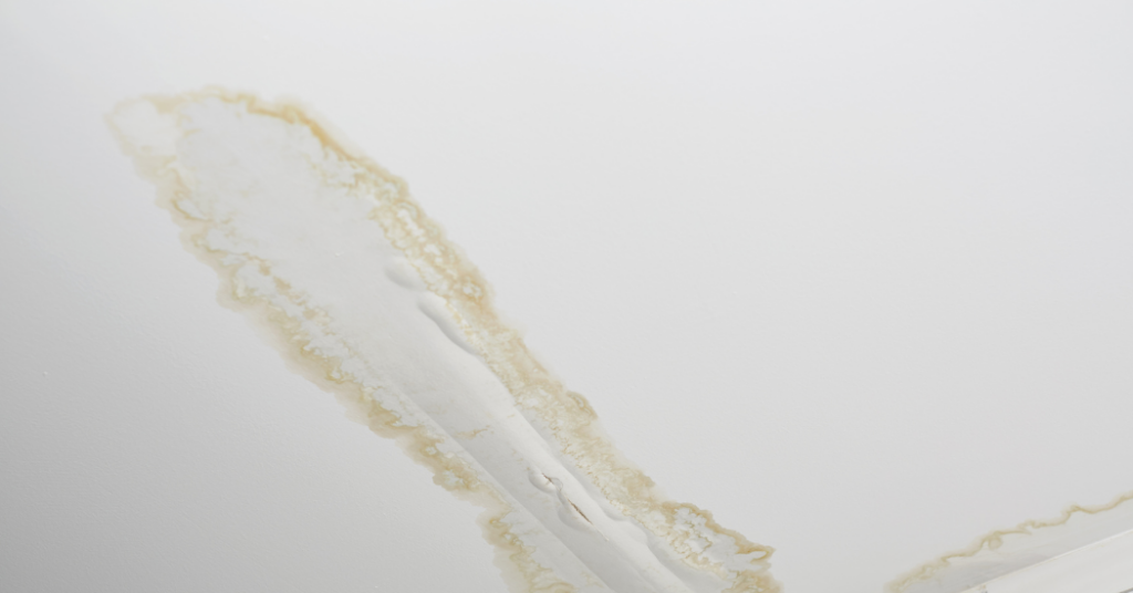 Why Choose a Painting Company Like That 1 Painter South Orlando Over a Regular Painter to Repair a Ceiling After a Water Leak