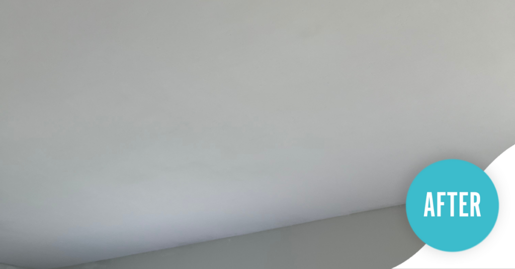 Choosing That 1 Painter South Orlando to Repair a Ceiling After a Water Leak