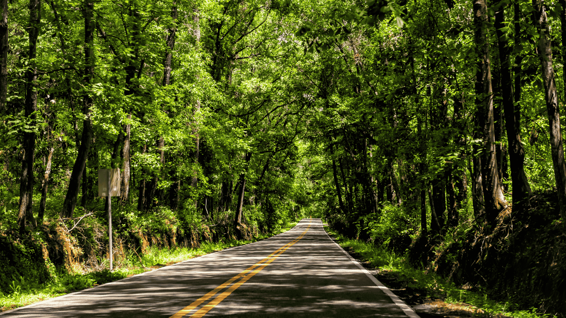 Painters in Miccosukee_Painters in Florida_painters near me_professional painting company_interior painting_exterior painting_best painting company