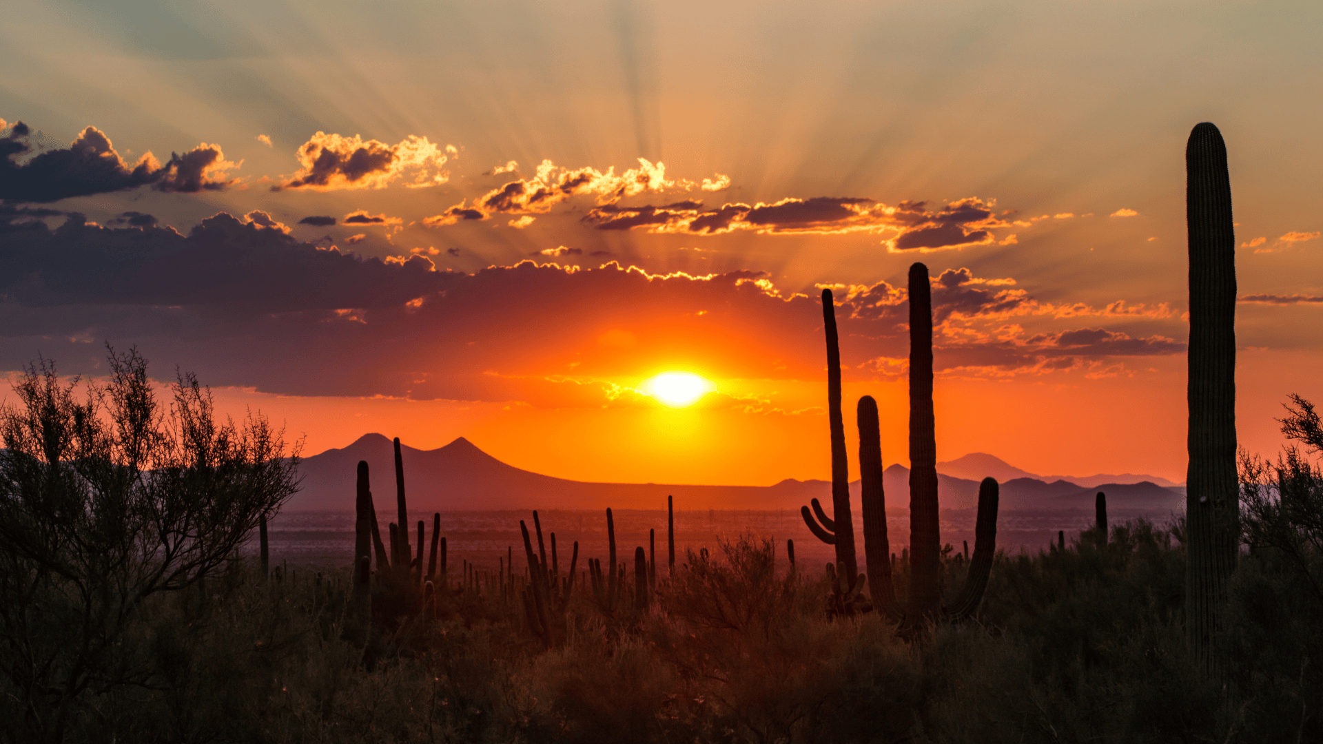 Painters in Catalina Foothills_Painters in Arizona_painters near me_professional painting company_interior painting_exterior painting_best painting company_painters