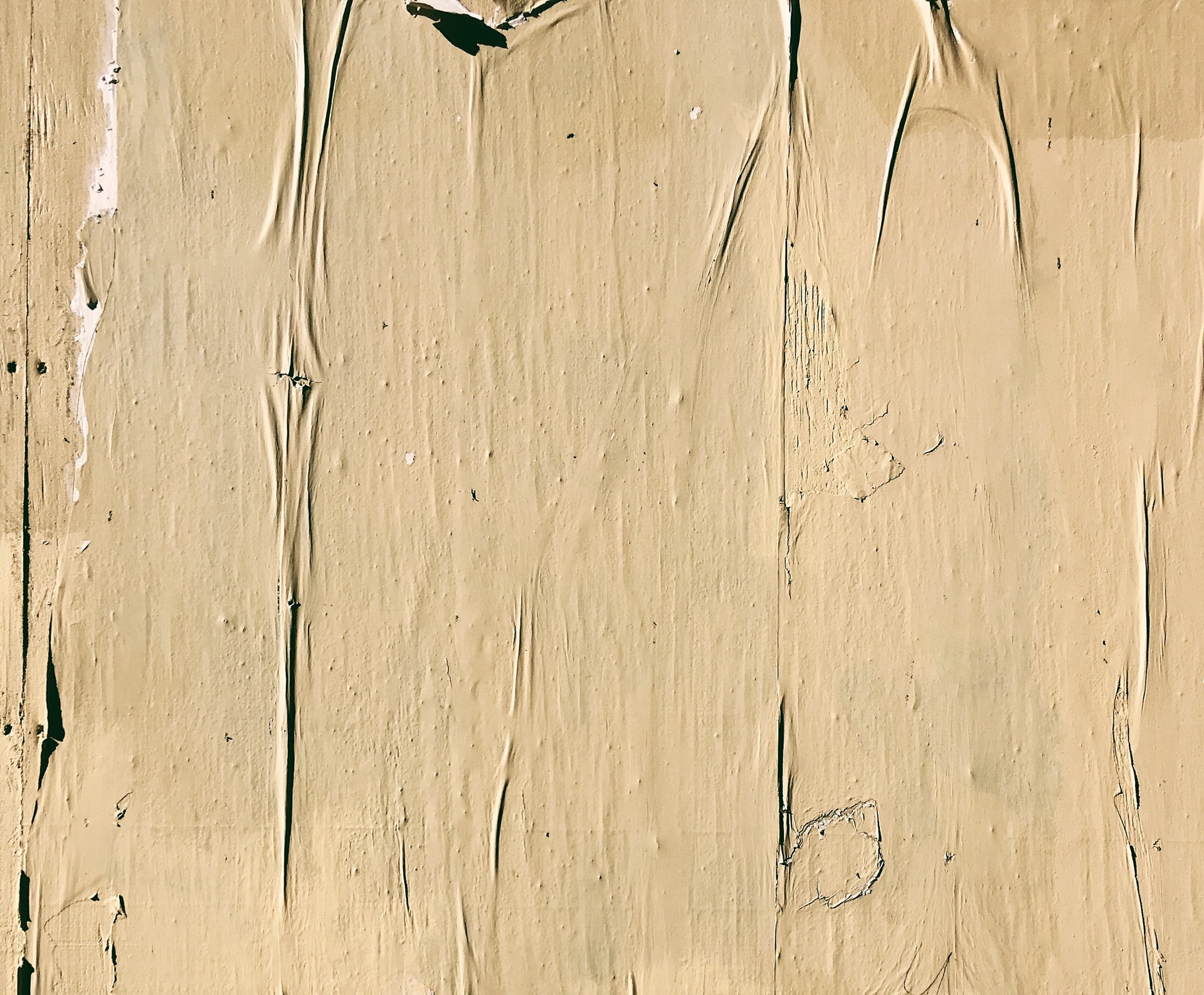 oil-based vs. water-based paint_That 1 Painter