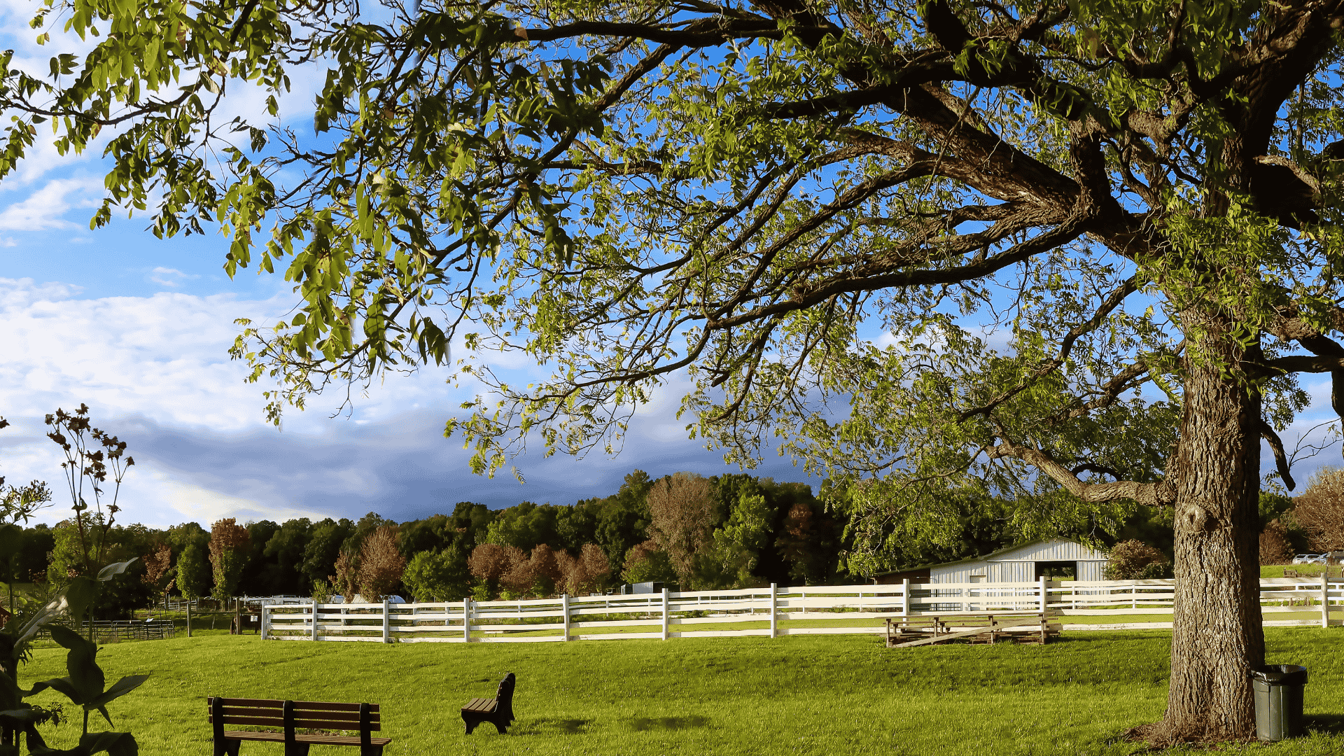 Painters in forest hills _Painters in michigan_painters near me_professional painting company_interior painting_exterior painting_best painting company