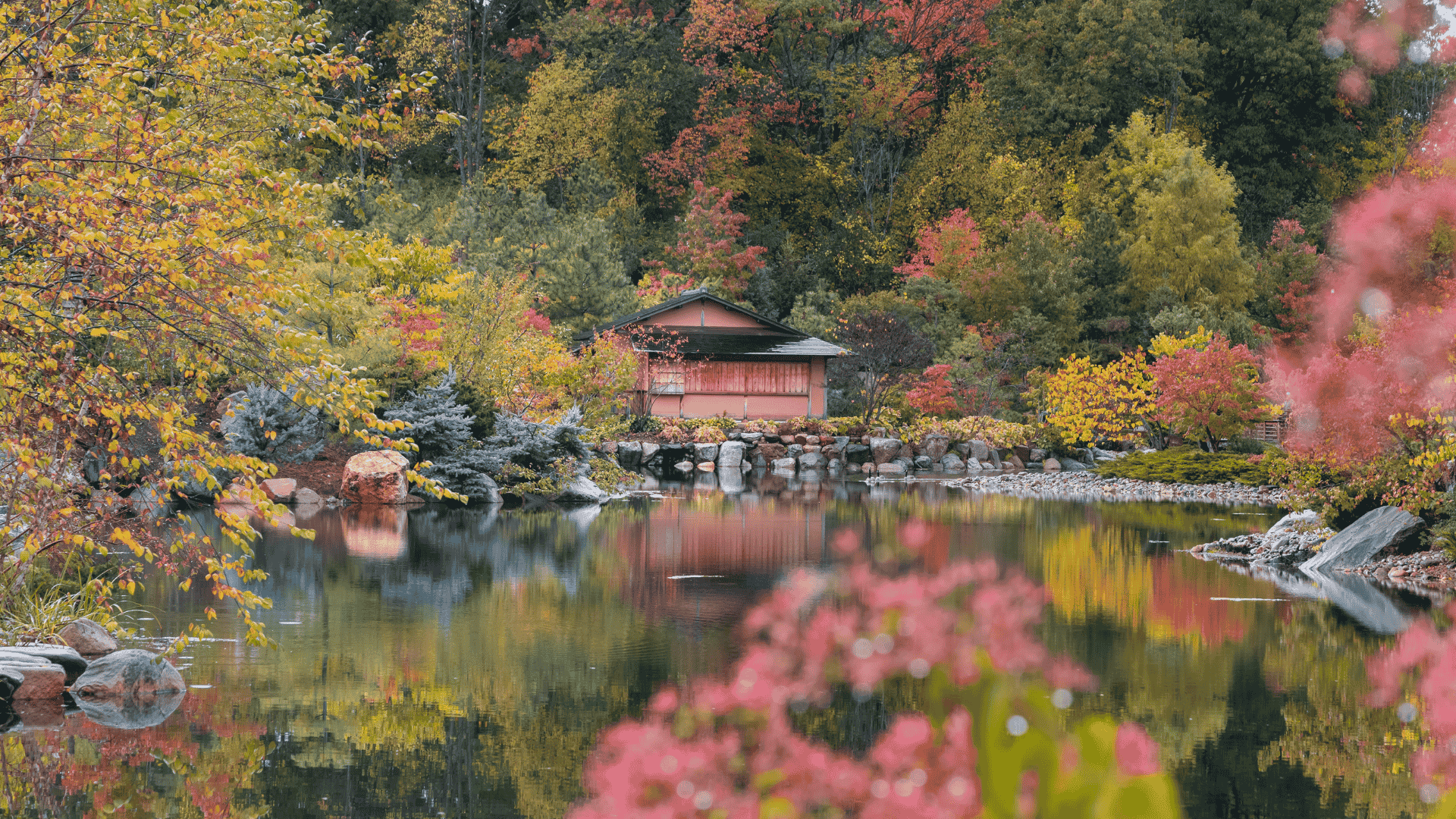 Painters in _Painters in Michigan_painters near me_professional painting company_interior painting_exterior painting_best painting company