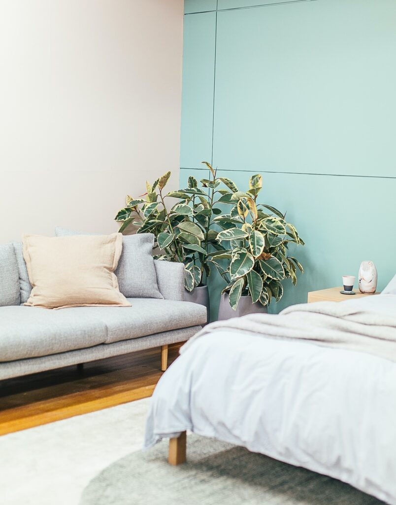 Zero-VOC-paint-Air-Sanitizing-Technology