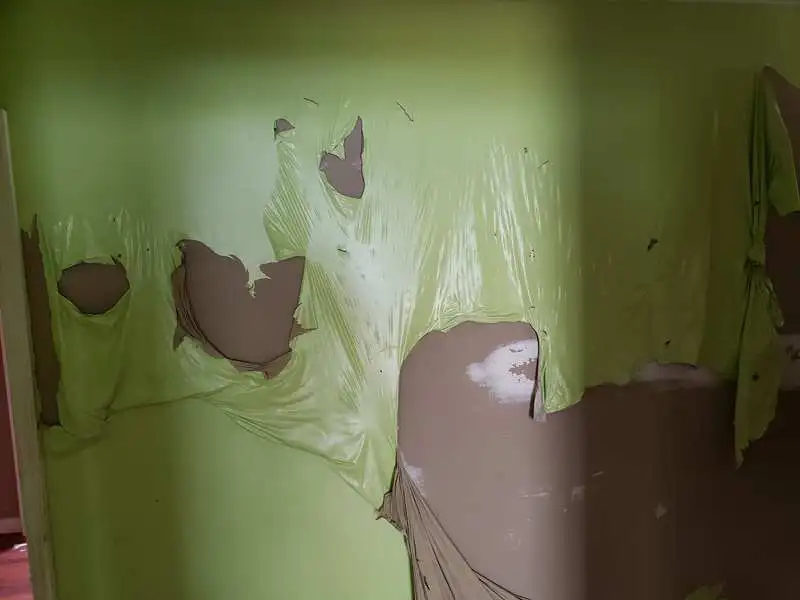 latex water based paint peeling off of surface
