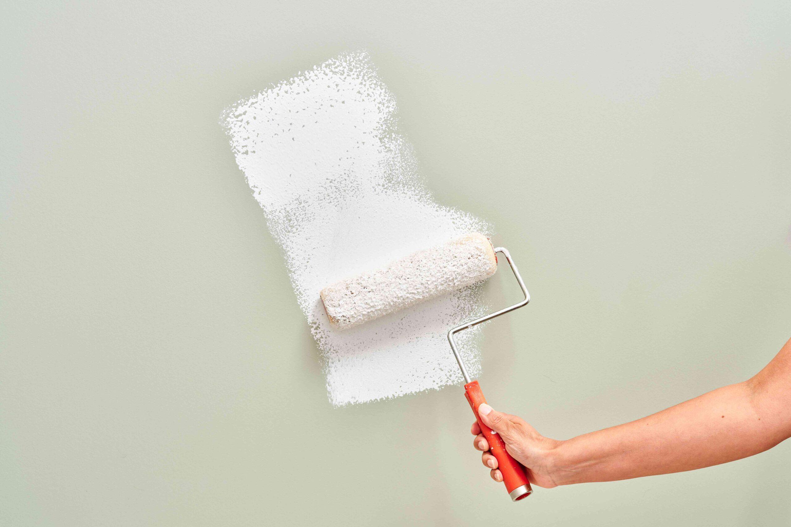 What Kind of Primer Should I Use Before Painting _ That 1 Painter _ Primer
