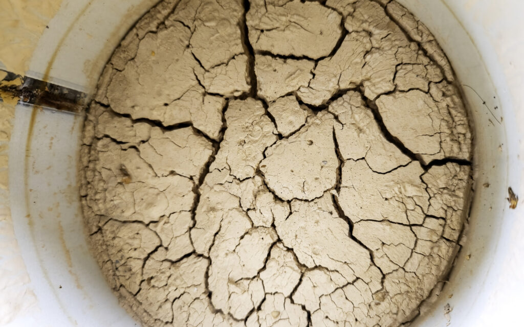 How Do I Get Rid of Old Paint? The 2026 Homeowner Guide to Safe, Easy Disposal 1 White, dried out water-based paint in a bucket