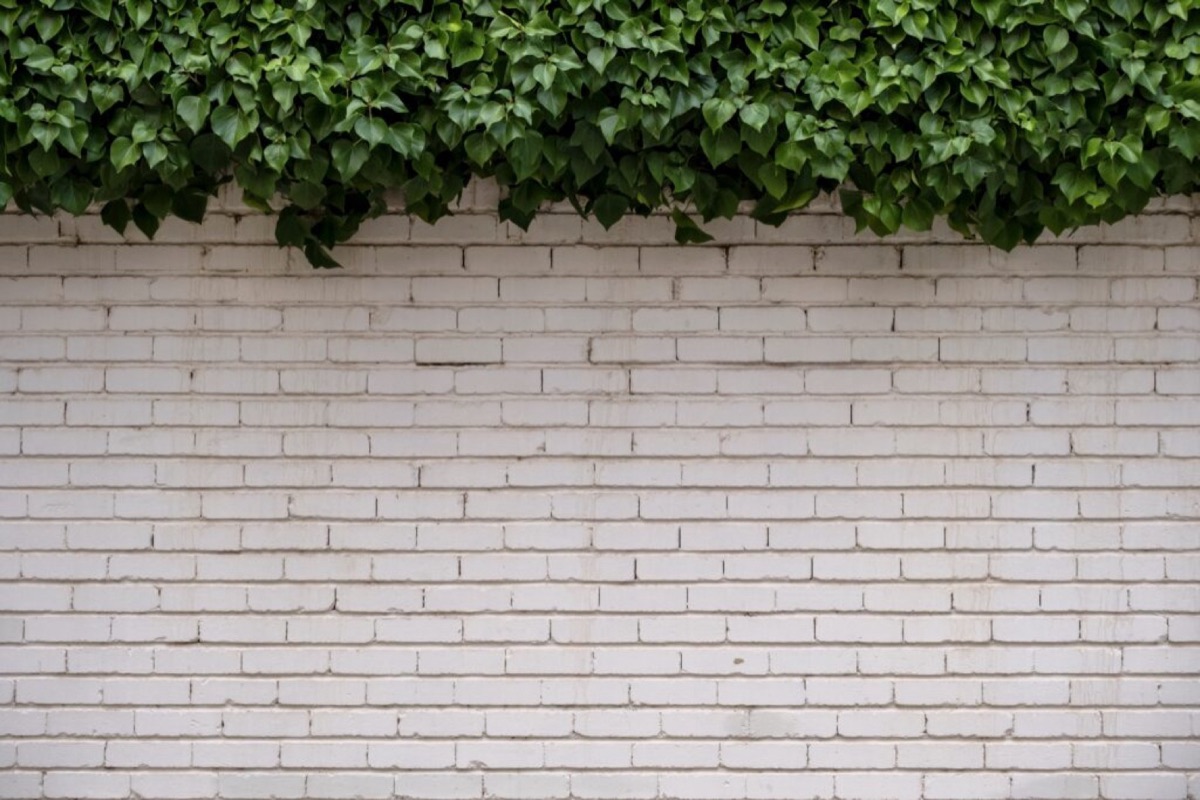 What is Limewash for Brick? The Professional Guide